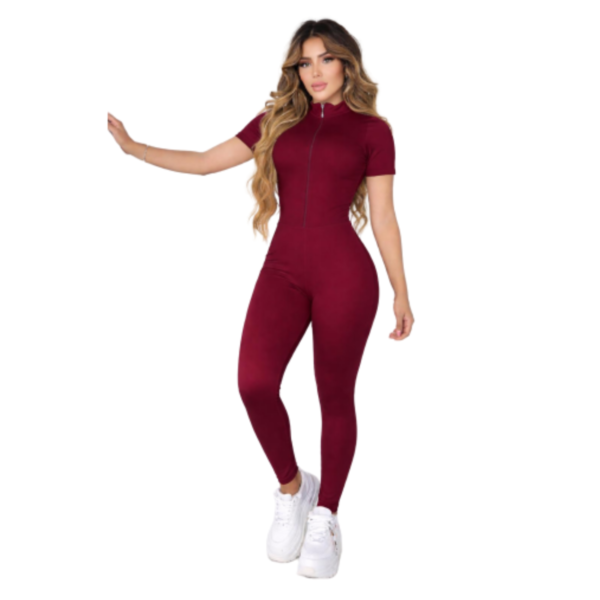 ENT-009-VIN-1.png