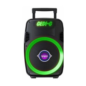 Parlante De Sonido Gedi-g Gd-929 8 Bluetooth