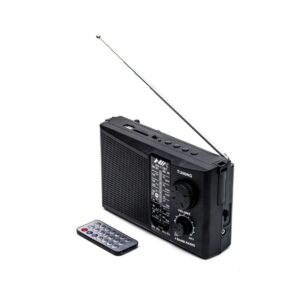 Radio Original Nia 4 Bandas Con Bluetooth y Control